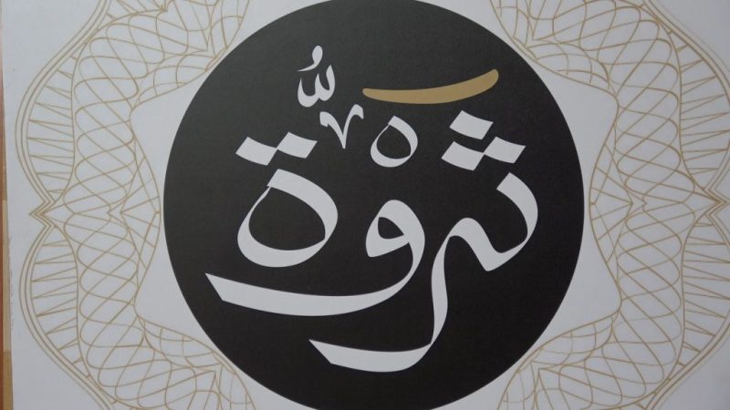 شعار شركة ثروة