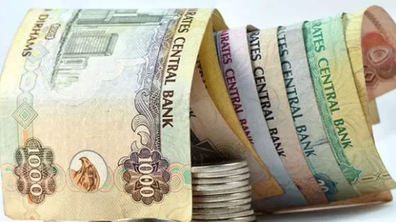 سعر الدرهم الاماراتي في البنوك المصرية