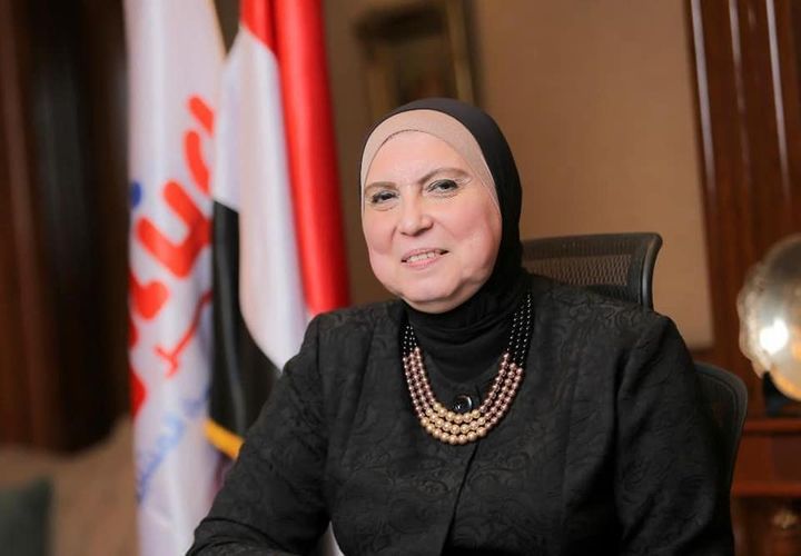 جهاز تنمية المشروعات يضخ 1.7 مليار جنيه ضمن مبادرة «حياة كريمة» نيفين جامع الرئيس التنفيذي لجهاز تنمية المشروعات المتوسطة والصغيرة ومتناهية الصغر