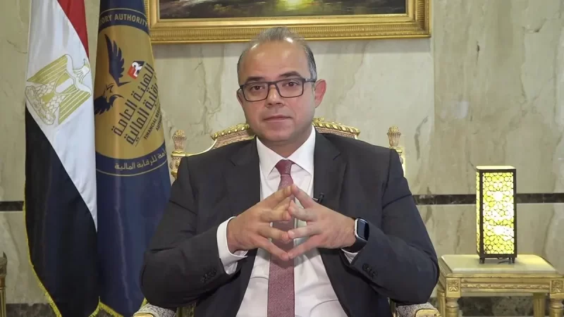الدكتور محمد فريد رئيس مجلس إدارة الهيئة العامة للرقابة المالية