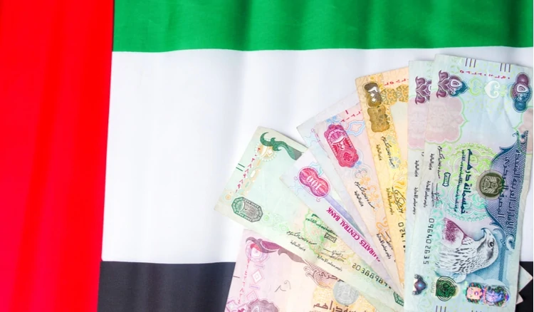 سعر الدرهم الإماراتي في البنوك المصرية