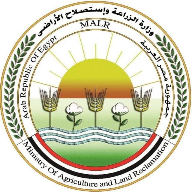 بالتنسيق مع البنك المركزي.. وزارة الزراعة تفرج عن 145 ألف طن أعلاف في أسبوع
