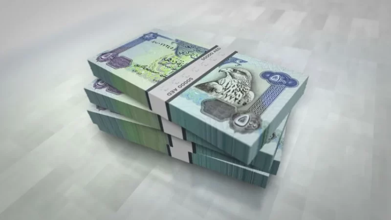 سعر الدرهم الإماراتي في البنوك المصرية