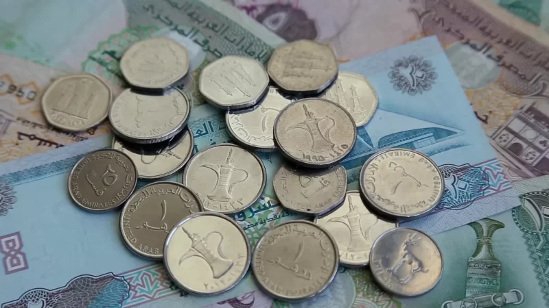 سعر الدرهم الإماراتي في البنوك المصرية