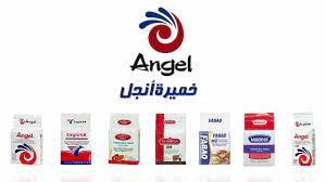 شركة أنجل ييست ايجيبت