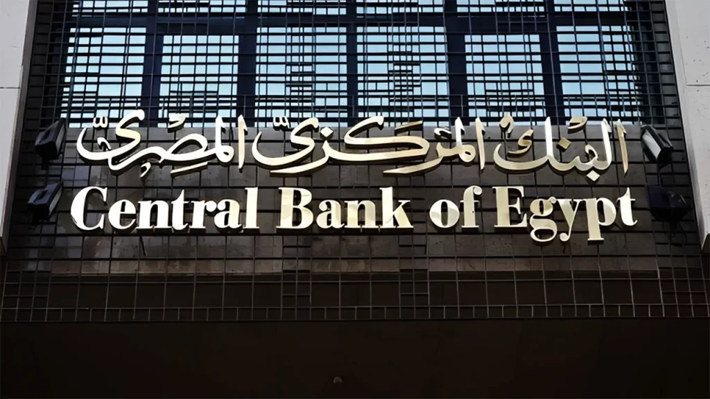 تحويلات المصريين العاملين بالخارج تقفز لأكثر من 43 مليار دولار خلال 11 شهرًا البنك المركزي المصري