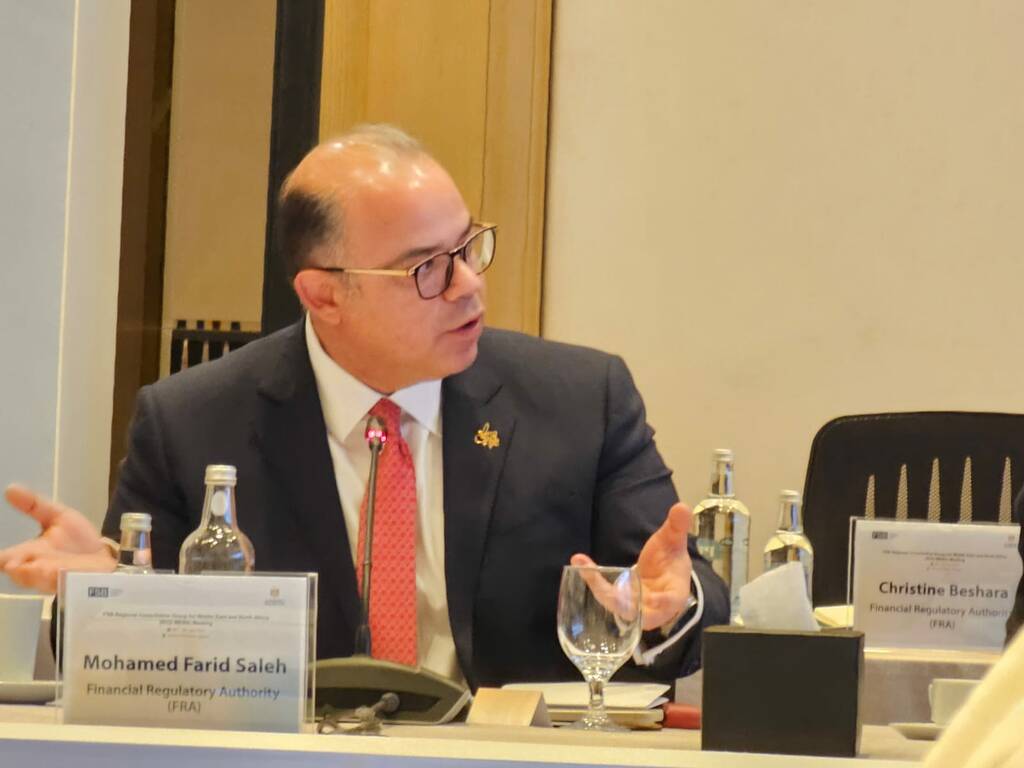 محمد فريد، رئيس الهيئة العامة للرقابة المالية