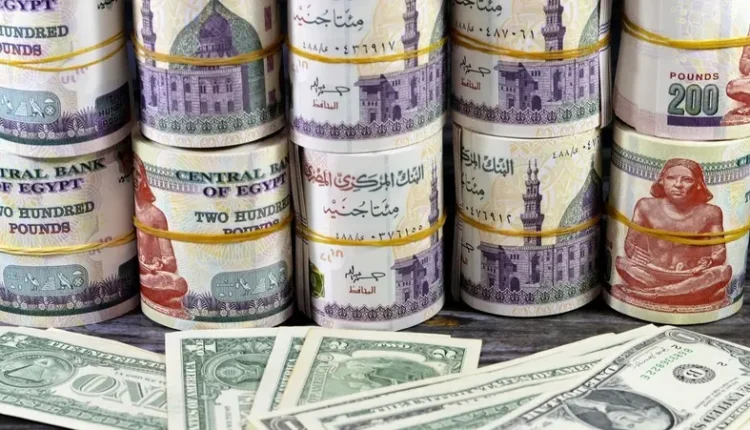 توقعت شركة "إي إف جي هيرميس" ارتفاع الدولار إلى 51.75 جنيهًا العام المالي المقبل