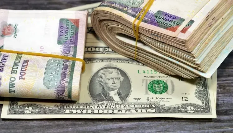 الدولار يواصل ارتفاعه لليوم السادس لنحو 48 جنيهاً الثلاثاء 25 نوفمبر 2025