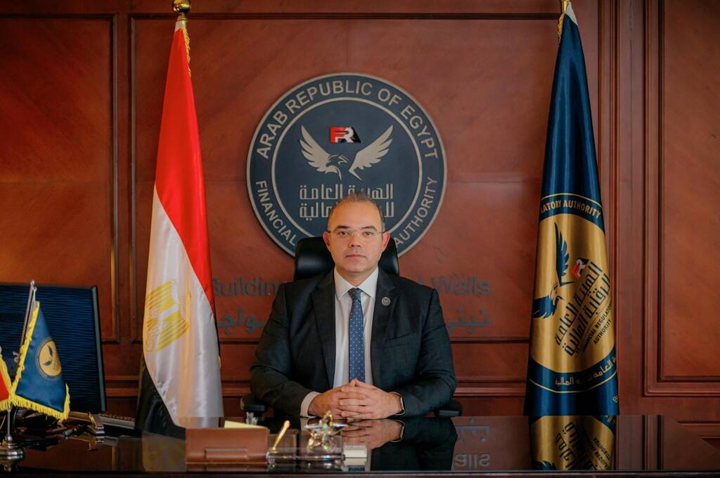الدكتور محمد فريد رئيس الهيئة العامة للرقابة المالية