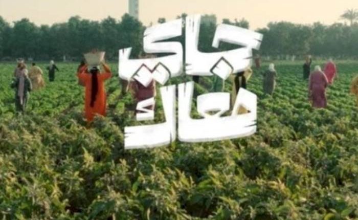 البنك الأهلي يستعد لإطلاق حملته الإعلانية الرمضانية "جاي معاك"