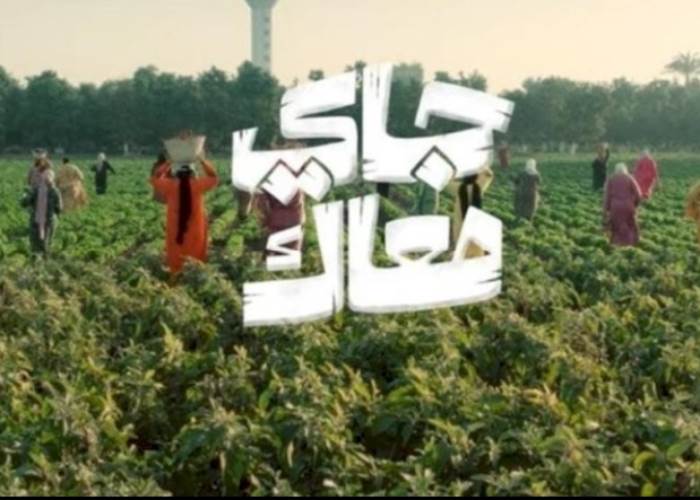 البنك الأهلي يستعد لإطلاق حملته الإعلانية الرمضانية "جاي معاك"